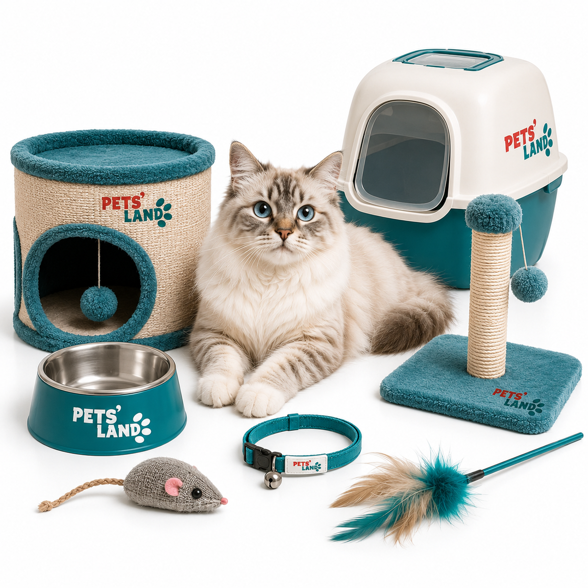 Accessoires – Chat