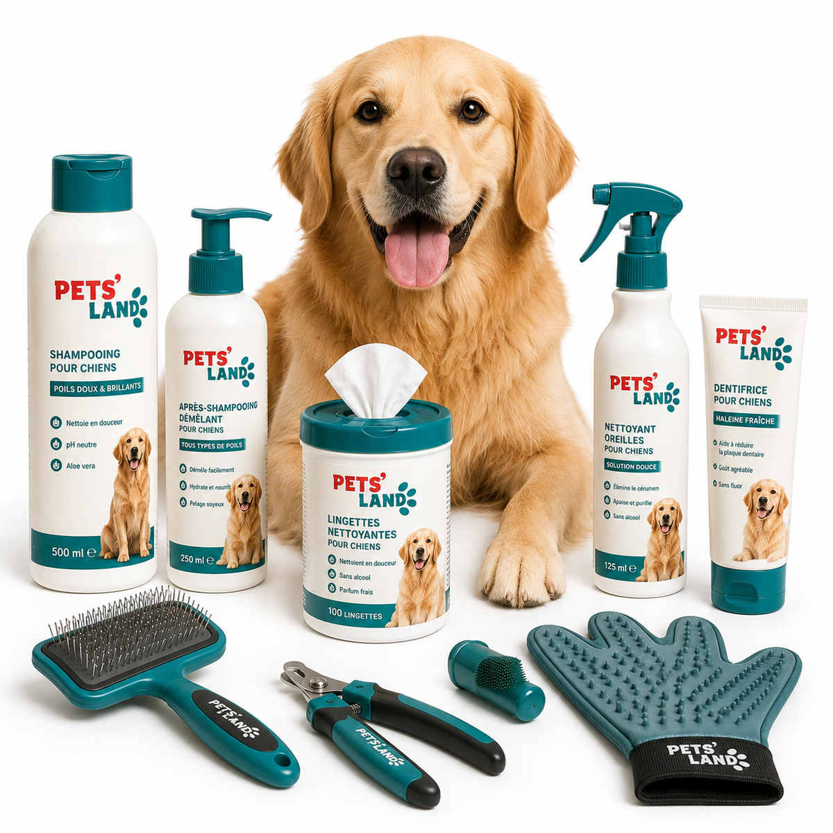 Hygiène et soins – Chien