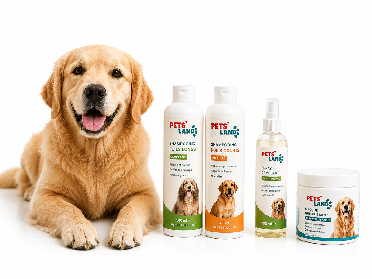 Shampoings et soins du pelage – Chien