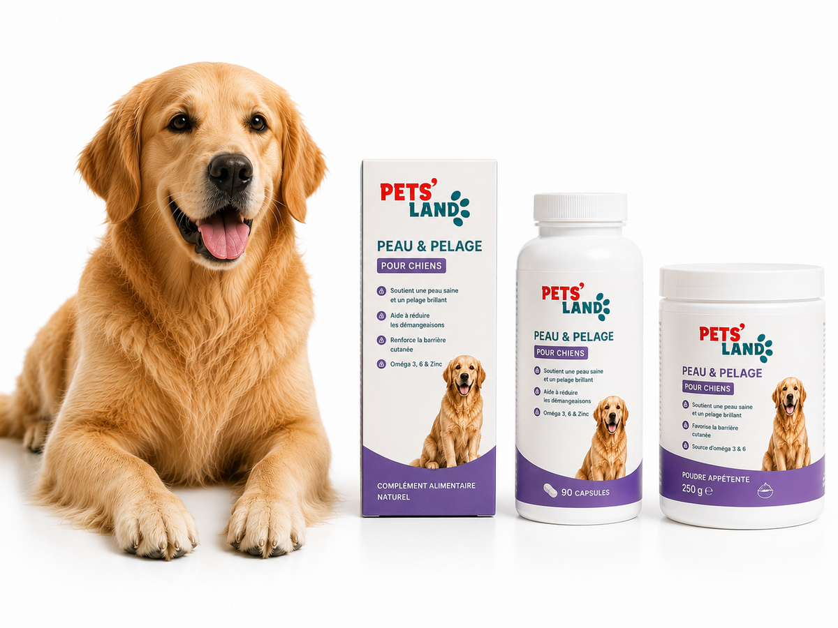 Peau et pelage – Chien
