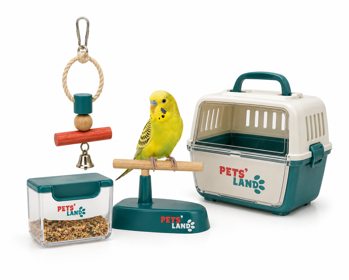 Accessoires pour oiseaux