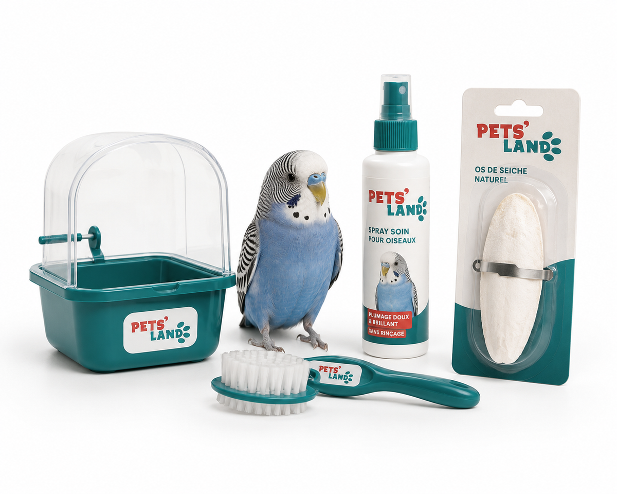 Hygiène et soins pour oiseaux
