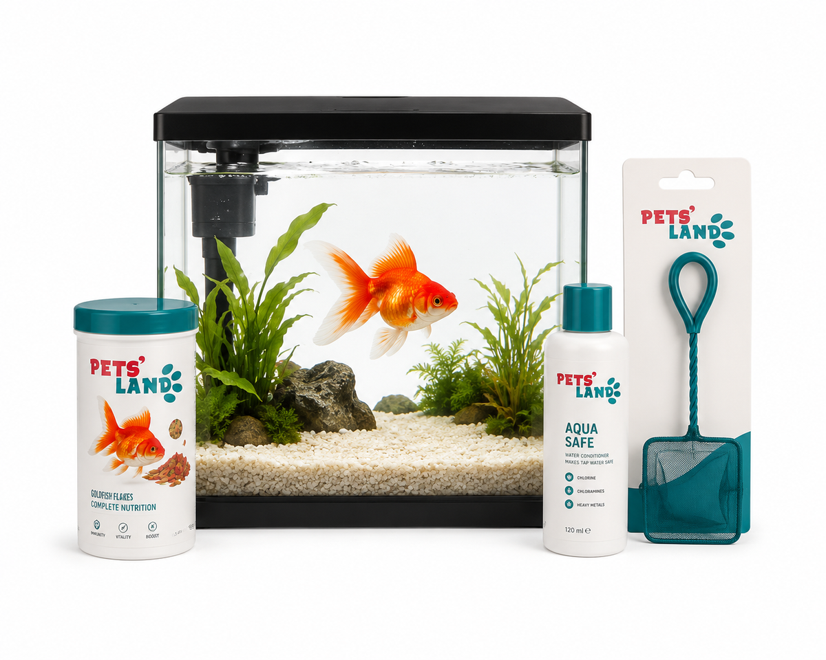 Poissons et aquariophilie