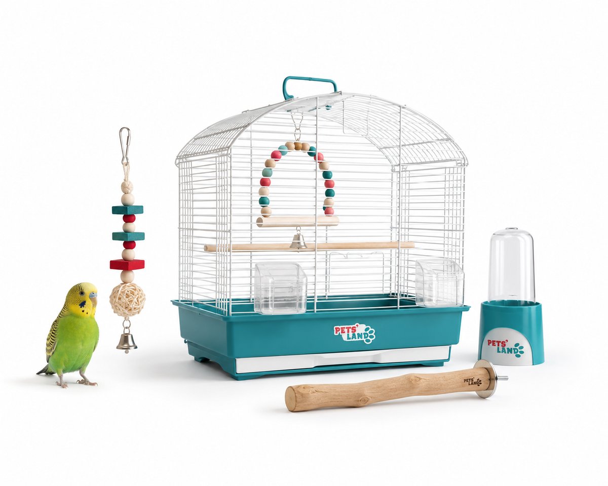 Cages et habitat pour oiseaux