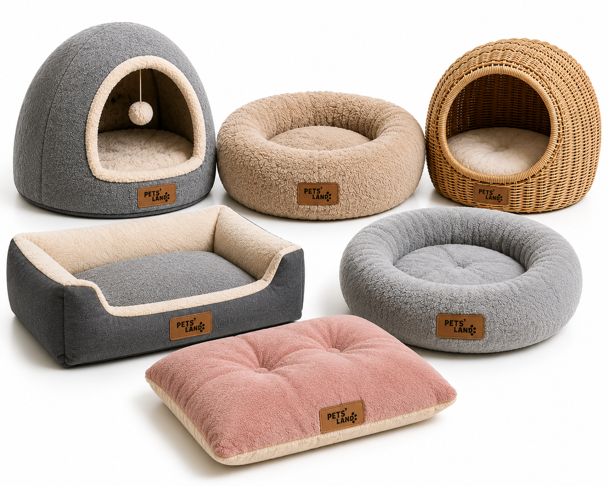 Couchages – Chat