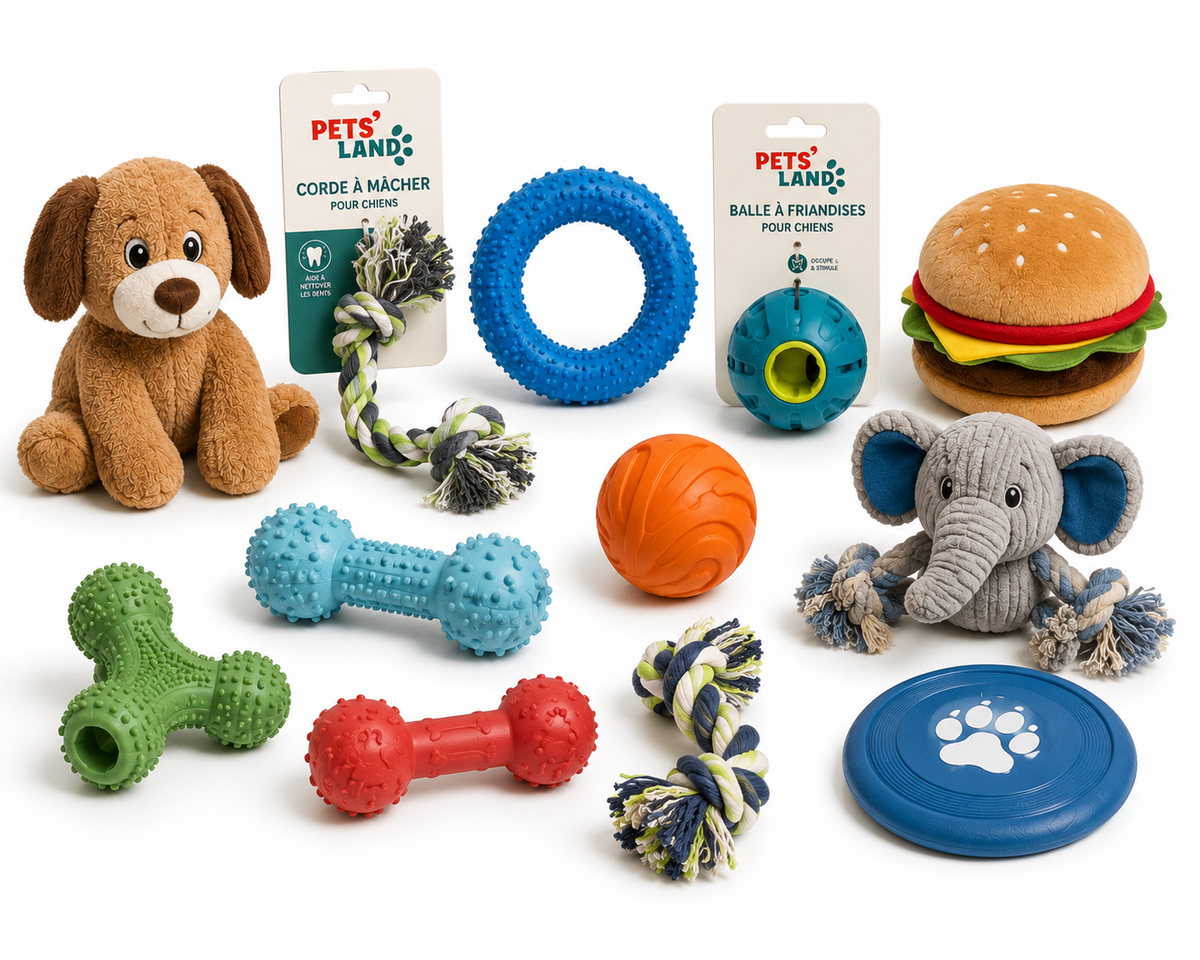 Jouets – Chien