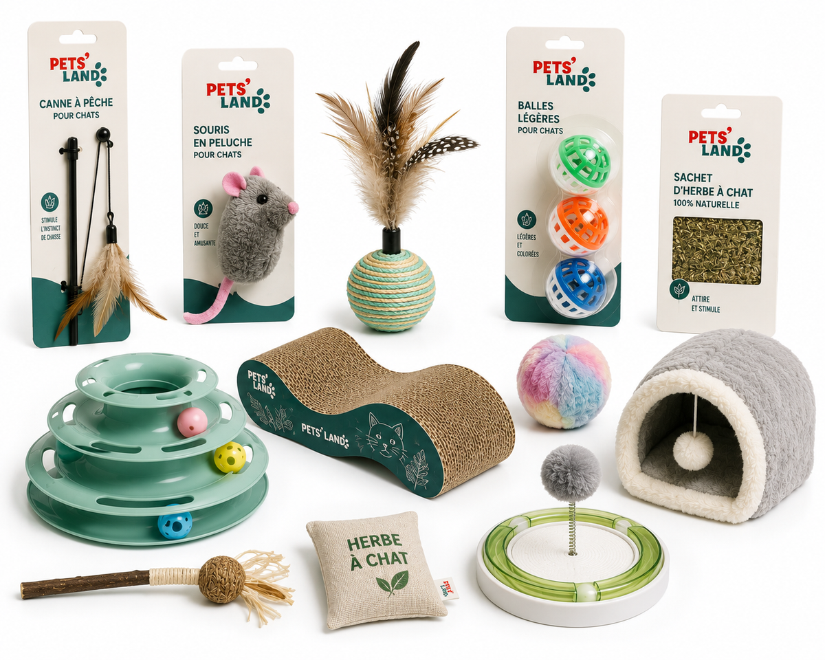 Jouets – Chat