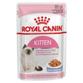 Royal Canin Kitten en gelée – 85 g
